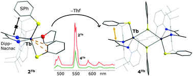 Graphical abstract: Synthesis and luminescence studies of lanthanide complexes (Gd, Tb, Dy) with phenyl- and 2-pyridylthiolates supported by a bulky β-diketiminate ligand. Impact of the ligand environment on terbium(iii) emission