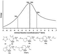 Graphical abstract: A molecular electron density theory (MEDT) study of the role of halogens (X2 = F2, Cl2, Br2 and I2) on the aza-Michael-addition reactions