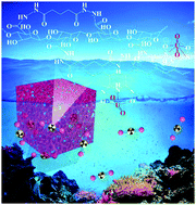 Graphical abstract: Dual crosslinked polyamidoxime/alginate sponge for robust and efficient uranium adsorption from aqueous solution