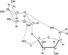 Graphical abstract: The use of MM/QM calculations of 13C chemical shifts in the conformational analysis of some monosaccharides and sucrose