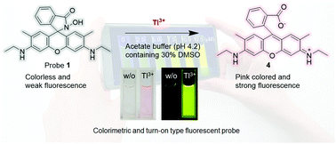 Graphical abstract: Determination of thallium(iii) ions by oxidative hydrolysis of rhodamine–hydroxamate