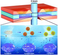 Graphical abstract: Atomic-scale imaging of the growth and transformation of Pt3Ni–NiO nanoparticles