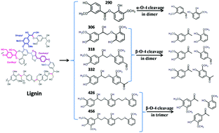 Graphical abstract: Catalytic lignin valorization over HSZ-supported CuNiAl-based catalysts with microwave heating