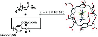 Graphical abstract: Host–guest interaction of nitroxide radicals with water-soluble pillar[6]arenes