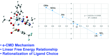 Graphical abstract: Palladium-catalyzed C–H activation of anisole with electron-deficient auxiliary ligands: a mechanistic investigation