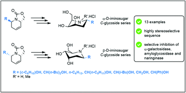 Graphical abstract: A versatile stereocontrolled synthesis of 2-deoxyiminosugar C-glycosides and their evaluation as glycosidase inhibitors