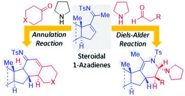 Graphical abstract: Reactivity of steroidal 1-azadienes toward enamines: an approach to novel chiral penta- and hexacyclic steroids