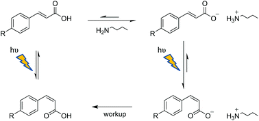 Graphical abstract: Understanding the role played by protic ionic liquids (PILs) and the substituent effect for enhancing the generation of Z-cinnamic acid derivatives
