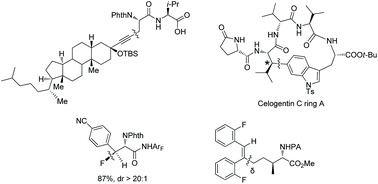 Graphical abstract: Site-selective and diastereoselective functionalization of α-amino acid and peptide derivatives via palladium-catalyzed sp3 C–H activation