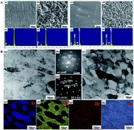 Graphical abstract: Comparative investigations of in vitro and in vivo bioactivity of titanium vs. Ti–24Nb–4Zr–8Sn alloy before and after sandblasting and acid etching