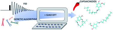 Graphical abstract: Structural studies of two capsaicinoids: dihydrocapsaicin and nonivamide. 13C and 15N MAS NMR supported by genetic algorithm and GIAO DFT calculations