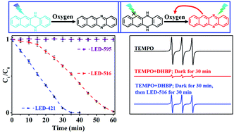 Graphical abstract: Wavelength selective photoactivated autocatalytic oxidation of 5,12-dihydrobenzo[b]phenazine and its application in metal-free synthesis