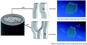 Graphical abstract: Synchrotron study on the evolution of the radial structural distribution of carbon fiber monofilaments during heat treatment process