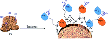 Graphical abstract: Surface modification of biomaterials based on cocoa shell with improved nitrate and Cr(vi) removal