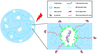 Graphical abstract: The aging properties and phase morphology of silica filled silicone rubber/butadiene rubber composites