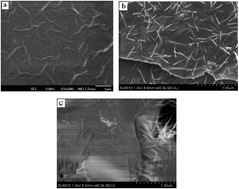 Graphical abstract: Electrochemical sensor using poly-(l-cysteine) functionalized CuO nanoneedles/N-doped reduced graphene oxide for detection of lead ions