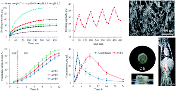 Graphical abstract: A stimuli-responsive, superporous and non-toxic smart hydrogel from seeds of mugwort (Artemisia vulgaris): stimuli responsive swelling/deswelling, intelligent drug delivery and enhanced aceclofenac bioavailability