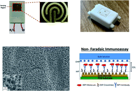 Graphical abstract: Development of a flexible, sweat-based neuropeptide Y detection platform