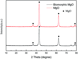 Graphical abstract: Synthesis of hierarchical MgO based on a cotton template and its adsorption properties for efficient treatment of oilfield wastewater