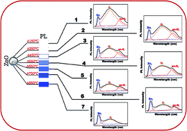 Graphical abstract: Effect of annealing on the defect-mediated blue phosphorescence in ZnO nanocrystals