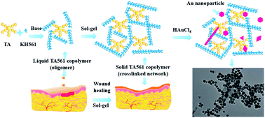 Graphical abstract: Red wine-inspired tannic acid–KH561 copolymer: its adhesive properties and its application in wound healing