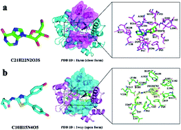 Graphical abstract: Random acceleration and steered molecular dynamics simulations reveal the (un)binding tunnels in adenosine deaminase and critical residues in tunnels