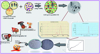 Graphical abstract: CS/Au/MWCNT nanohybrid as an efficient carrier for the sustained release of 5-FU and a study of its cytotoxicity on MCF-7