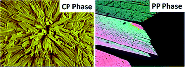 Graphical abstract: Crystal polymorphism of 8OCB liquid crystal consisting of strongly polar rod-like molecules