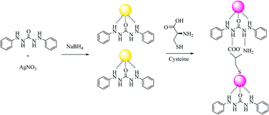 Graphical abstract: The colorimetric and microfluidic paper-based detection of cysteine and homocysteine using 1,5-diphenylcarbazide-capped silver nanoparticles