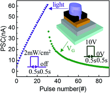 Graphical abstract: Violet-light stimulated synaptic and learning functions in a zinc–tin oxide photoelectric transistor for neuromorphic computation