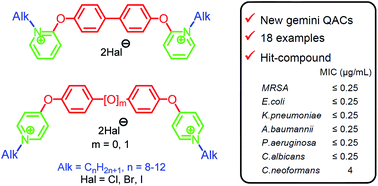 Graphical abstract: Investigations into the structure–activity relationship in gemini QACs based on biphenyl and oxydiphenyl linker