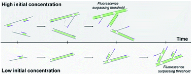 Graphical abstract: Quantifying genome DNA during whole-genome amplification via quantitative real-time multiple displacement amplification