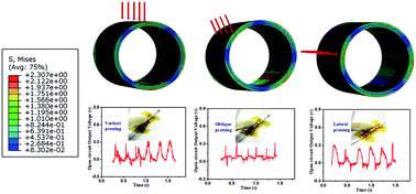 Graphical abstract: A piezoelectric poly(vinylidene fluoride) tube featuring highly-sensitive and isotropic piezoelectric output for compression