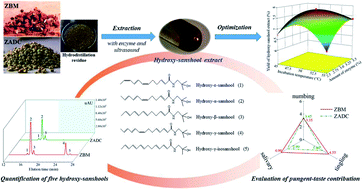 Graphical abstract: Ultrasound-assisted enzymatic extraction of hydroxy-sanshool compounds from the hydrodistillation residue of two Sichuan peppers: optimization, quantification and pungent taste contribution evaluation