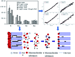 Graphical abstract: Reversible and irreversible membrane fouling in hollow-fiber UF membranes filtering surface water: effects of ozone/powdered activated carbon treatment