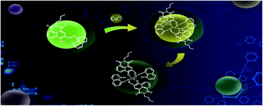 Graphical abstract: A novel hydrophilic fluorescent probe for Cu2+ detection and imaging in HeLa cells