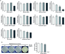 Graphical abstract: Brucite shows antibacterial activity via establishment of alkaline conditions