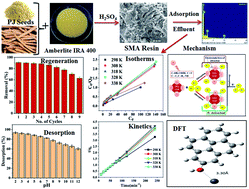 Graphical abstract: An Amberlite IRA-400 Cl− ion-exchange resin modified with Prosopis juliflora seeds as an efficient Pb2+ adsorbent: adsorption, kinetics, thermodynamics, and computational modeling studies by density functional theory