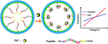 Graphical abstract: Nanochannel-based sensor for the detection of lead ions in traditional Chinese medicine