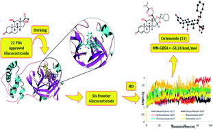 Graphical abstract: Revisiting activity of some glucocorticoids as a potential inhibitor of SARS-CoV-2 main protease: theoretical study