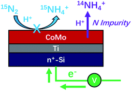 Graphical abstract: Cathodic NH4+ leaching of nitrogen impurities in CoMo thin-film electrodes in aqueous acidic solutions