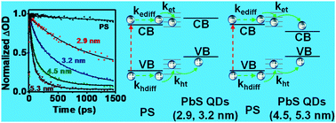 Graphical abstract: Deciphering the role of quantum dot size in the ultrafast charge carrier dynamics at the perovskite–quantum dot interface