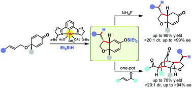 Graphical abstract: Diastereo- and enantioselective rhodium(iii)-catalyzed reductive cyclization of cyclohexadienone-containing 1,6-dienes