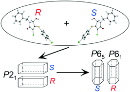 Graphical abstract: The second example of doubly enantiophobic behavior during crystallization: a detailed crystallographic, thermochemical and spectroscopic study