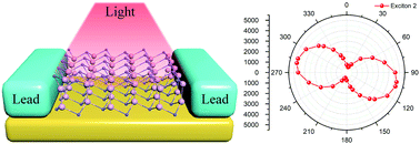 Graphical abstract: Monolayer InSe photodetector with strong anisotropy and surface-bound excitons