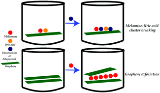 Graphical abstract: Appraising the potency of small molecule inhibitors and their graphene surface-mediated organizational attributes on uric acid–melamine clusters