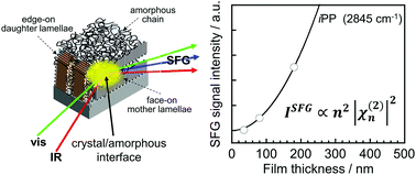 Graphical abstract: Local orientation of chains at crystal/amorphous interfaces buried in isotactic polypropylene thin films