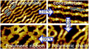 Graphical abstract: Stepwise on-surface synthesis of thiophene-based polymeric ribbons by coupling reactions and the carbon–fluorine bond cleavage