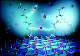 Graphical abstract: Recent advances in direct air capture by adsorption