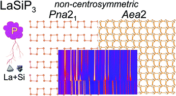Graphical abstract: Third time's the charm: intricate non-centrosymmetric polymorphism in LnSiP3 (Ln = La and Ce) induced by distortions of phosphorus square layers